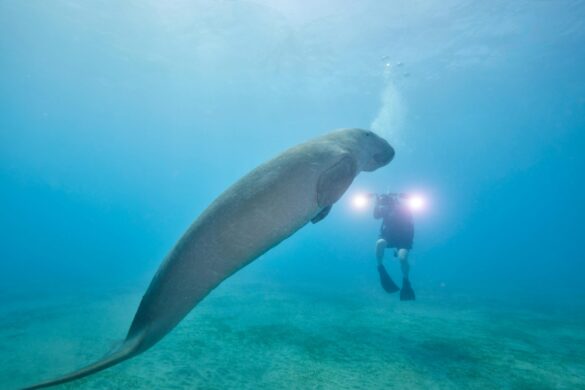 pexels-stephan-ernst-2151845602-35812286 Svg%3E